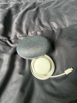 Google Home Mini works well