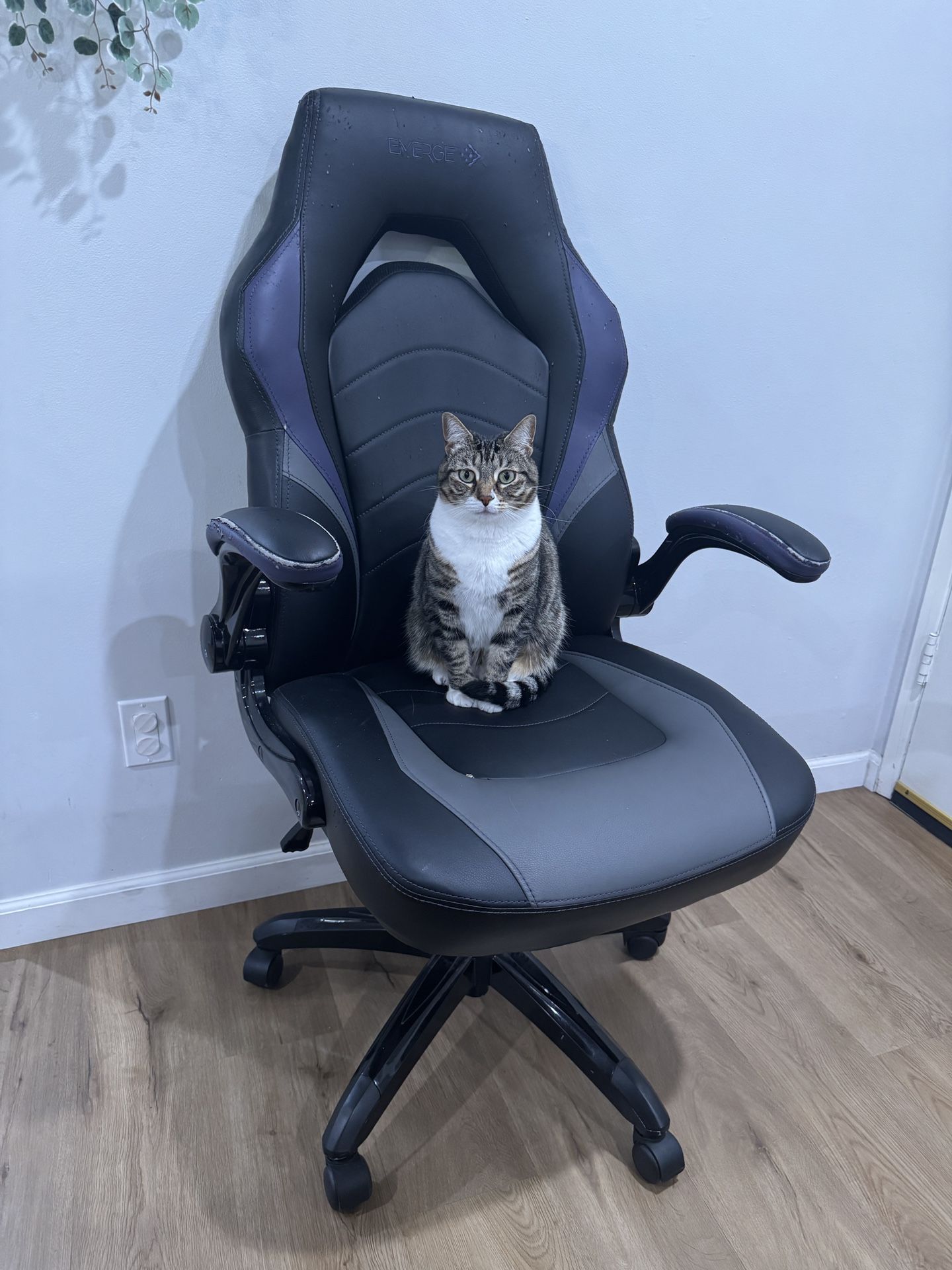 Emerge Gaming Chair – Fiona’s Favorite Seat (Pet Owners Welcome!)