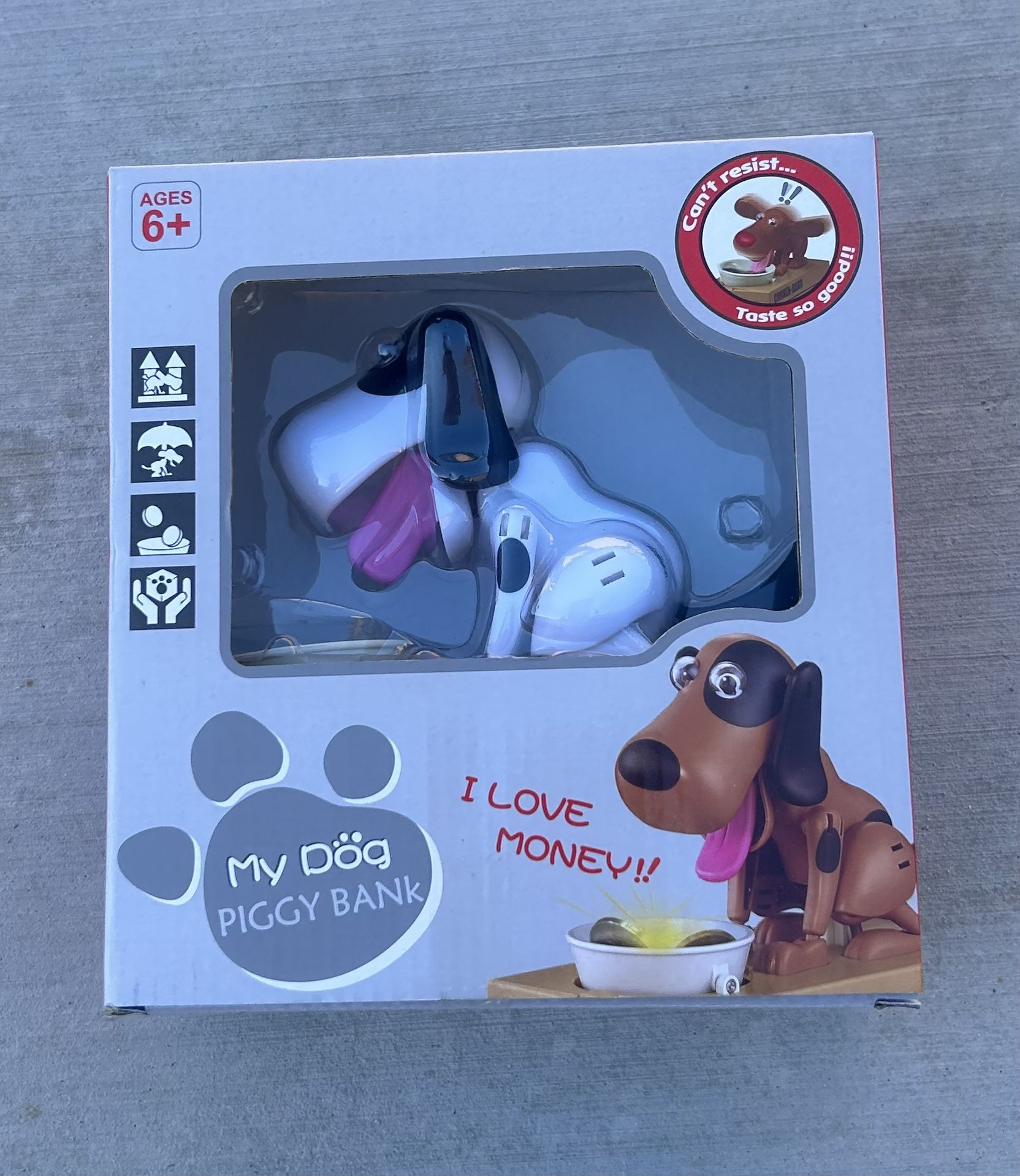 My Dog Piggy Bank