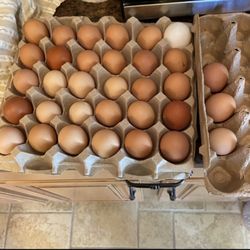 Fresh Eggs 6 the dozen 