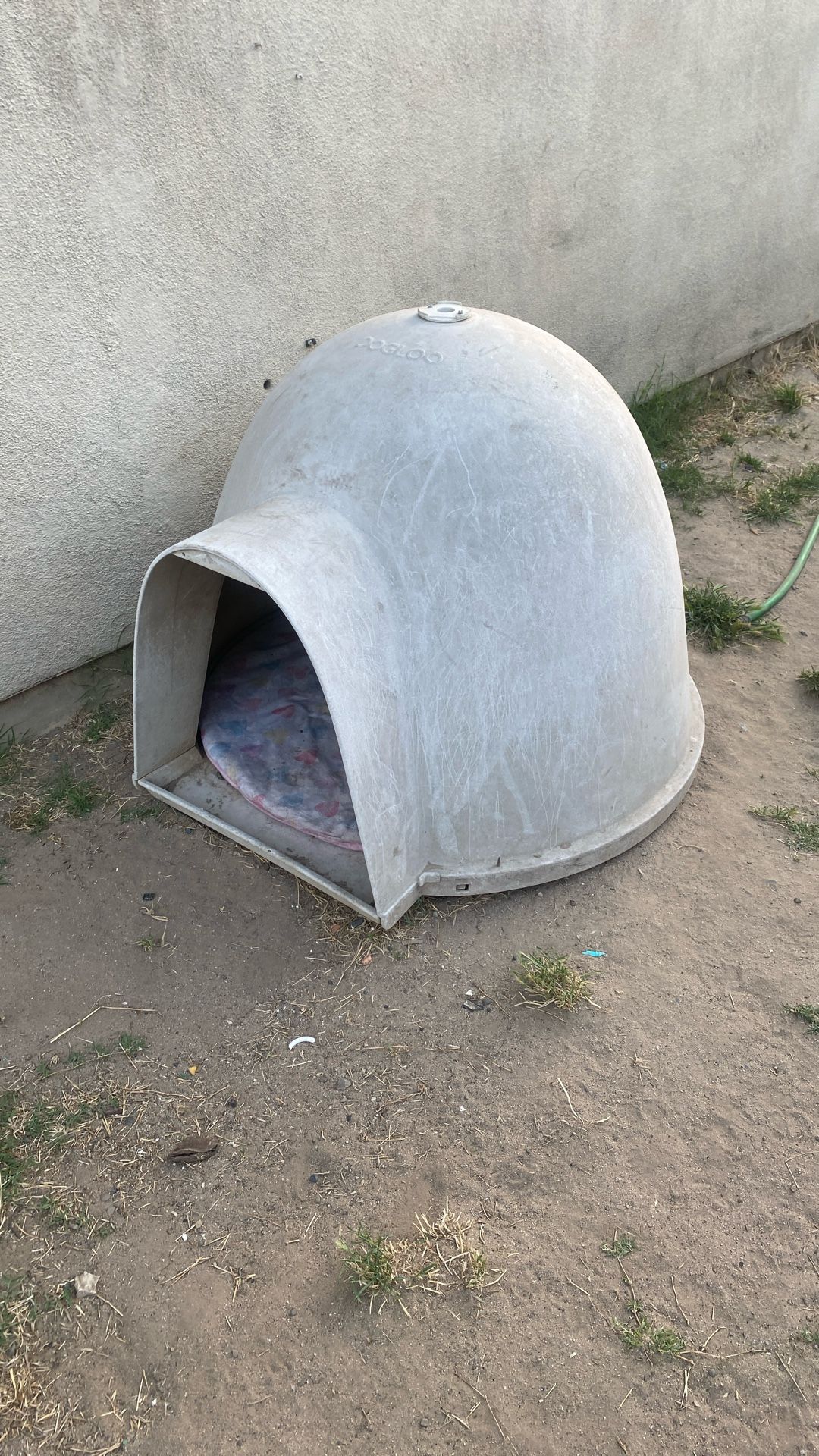 Igloo Dog House