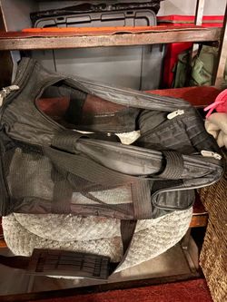 Cat carrier or dog carrier