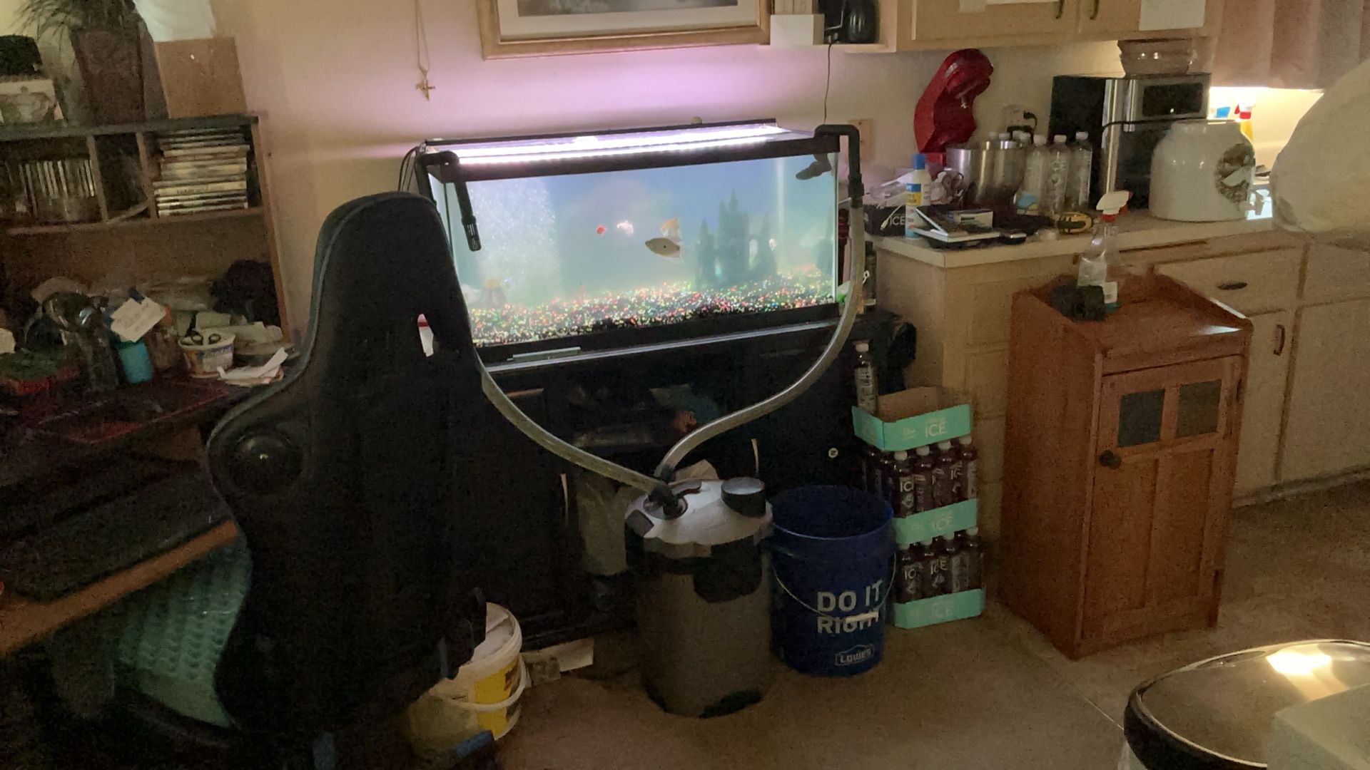 40 gallon tank, wood, fish and rocks and pump 75 gallon tank to
