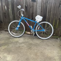 GT  world tour  29inch