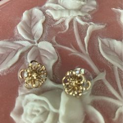 Gold Plated Earrings 