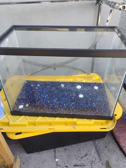 20 Gallon Aquarium