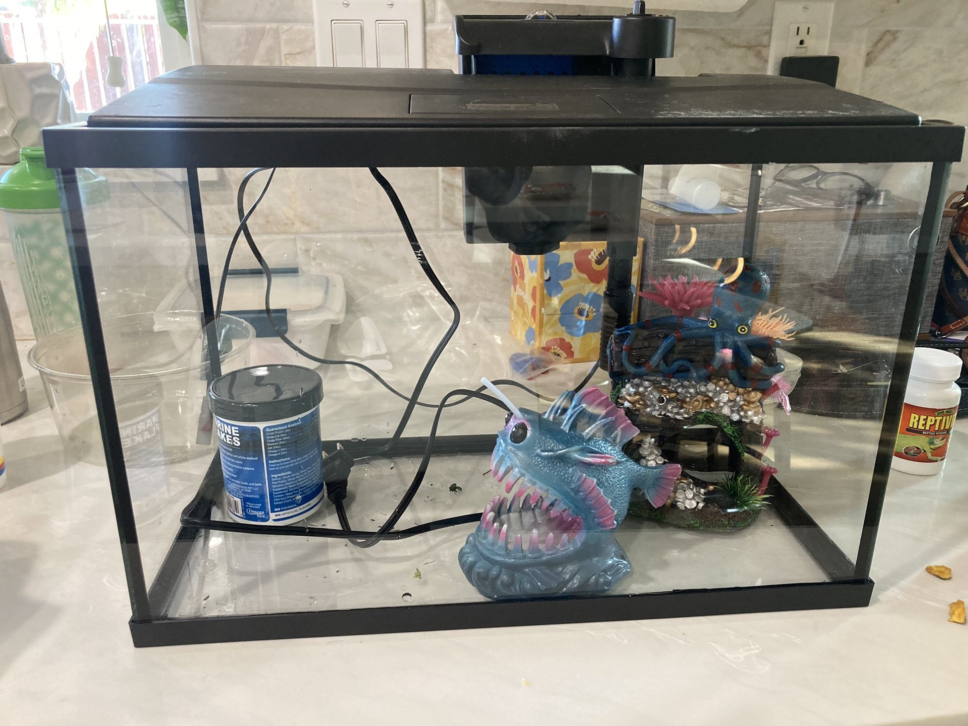 3 Gallon Fish Tank With Accessories: Pebbles, Water Filter, Net, Two Decorative Statues, and Fish Food
