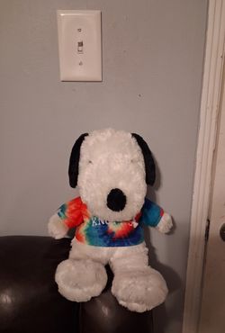 Snoopy Knott's With Tye Dye Sweater