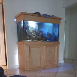 90 Gallon Saltwater Tank and Cabinet