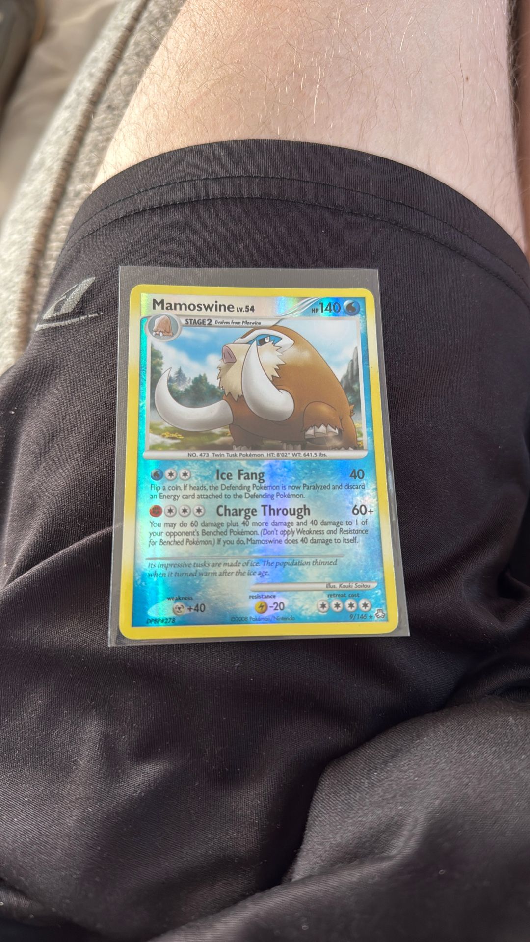 Mamoswine Rare Card
