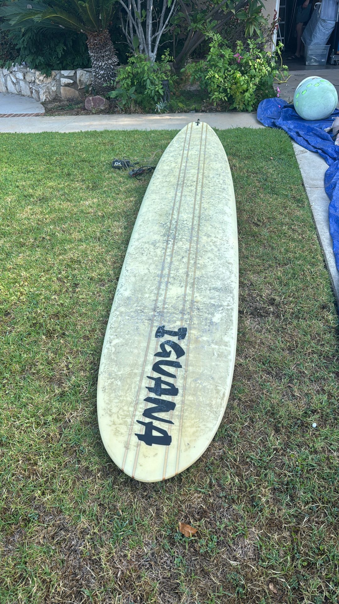 9'6" Iguana Surfboard