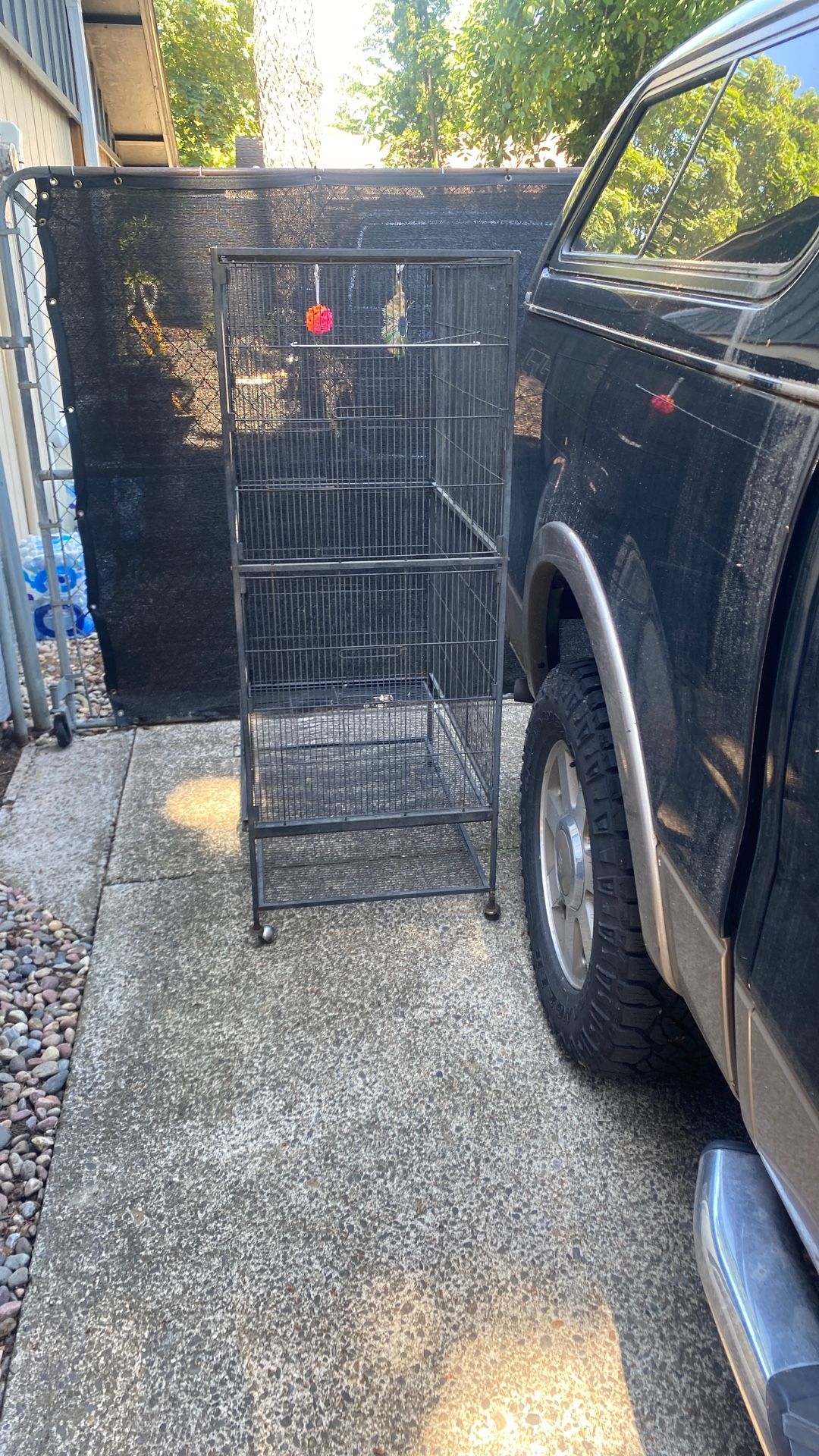 Free Bird Critter Cage