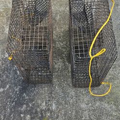 Shrimp pots