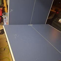 Ping Pong Table 