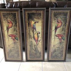 Framed Parrot Bird Art Prints Signed Set of (3)