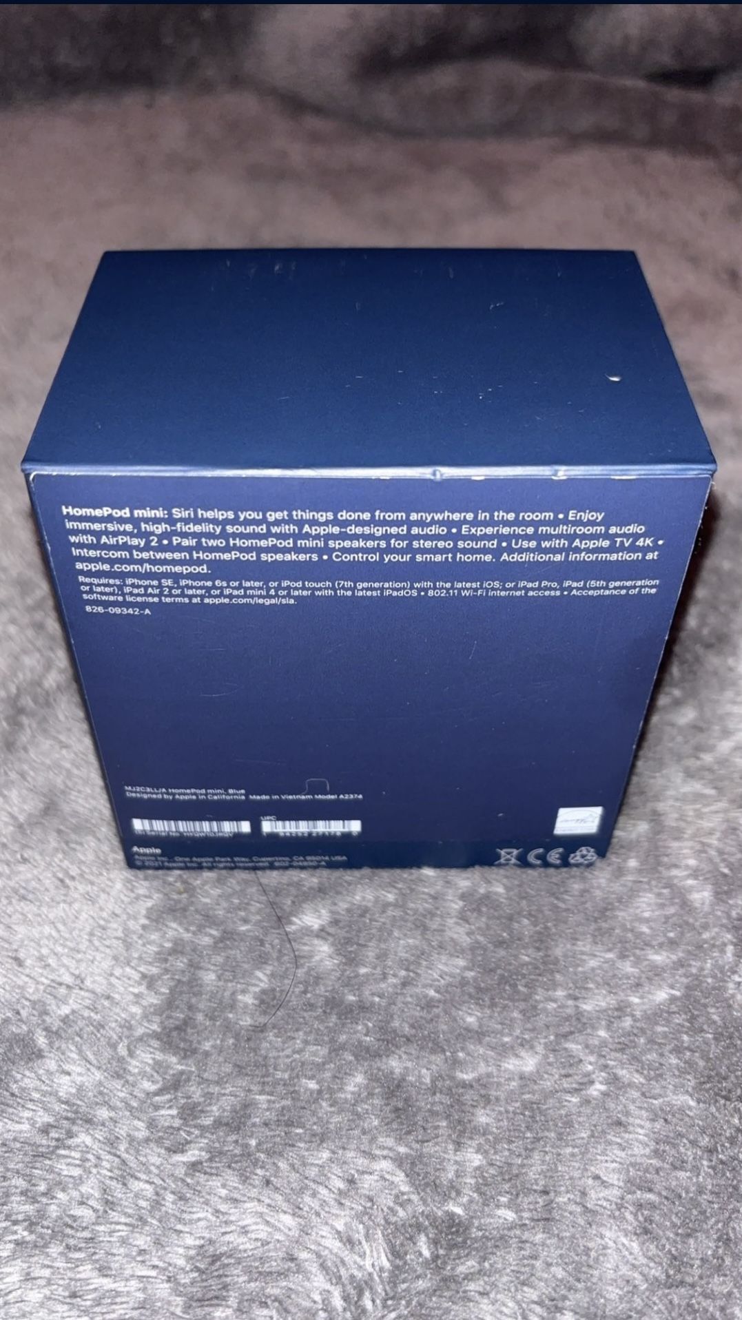 Apple Pod Mini Blue