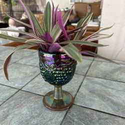 Enchanted Greenery Boutique 