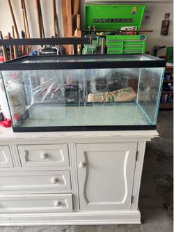 40 gallon fish tank