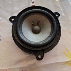 Bose 6.5 Door Speaker 
