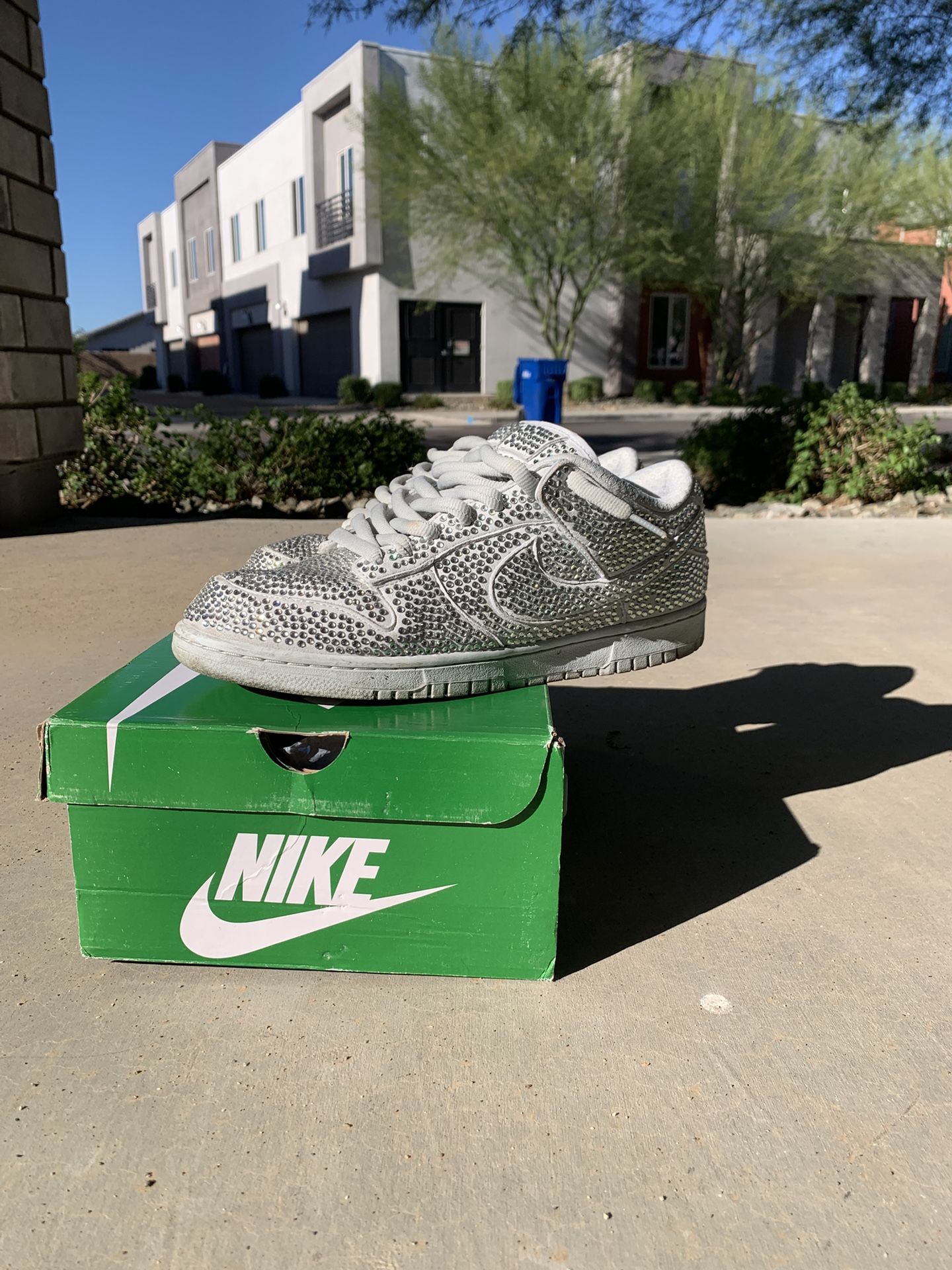 Nike Dunk Low Cactus Plant Flea Market