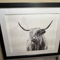Framed Highland Cow Art black/white. Read Description