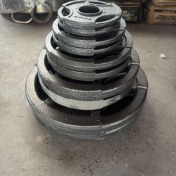 245lb Lifting Weight Plates