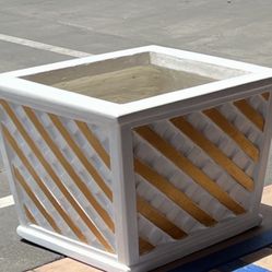 Concrete Pots