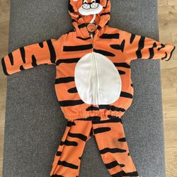 Carter’s Tiger Costume