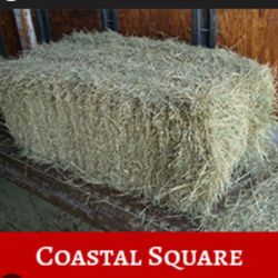 COASTAL SQUARE BALES