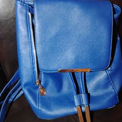 Blue Purse/Back Pack