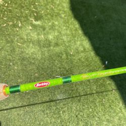 Fishing Pole For Sale 