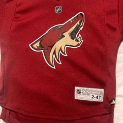 Arizona Coyote’s Youth Jersey (BLANK, No Player On The back)