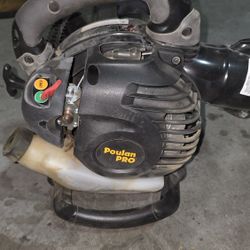 Leaf Blower & Vacuum 