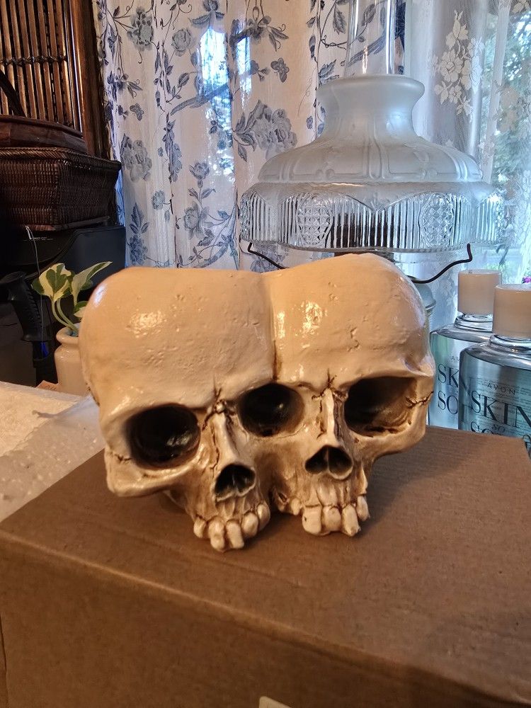Halloween Skull Decor Plant Pot