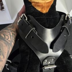 Dog Harness