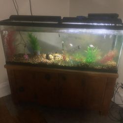 Fish Tank W/stand And Accessories 