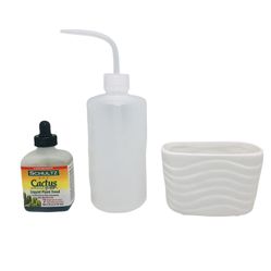 Mini Succulent Planter bundle 