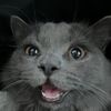 Hiitsme!123