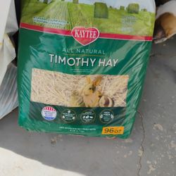 Timothy Hay