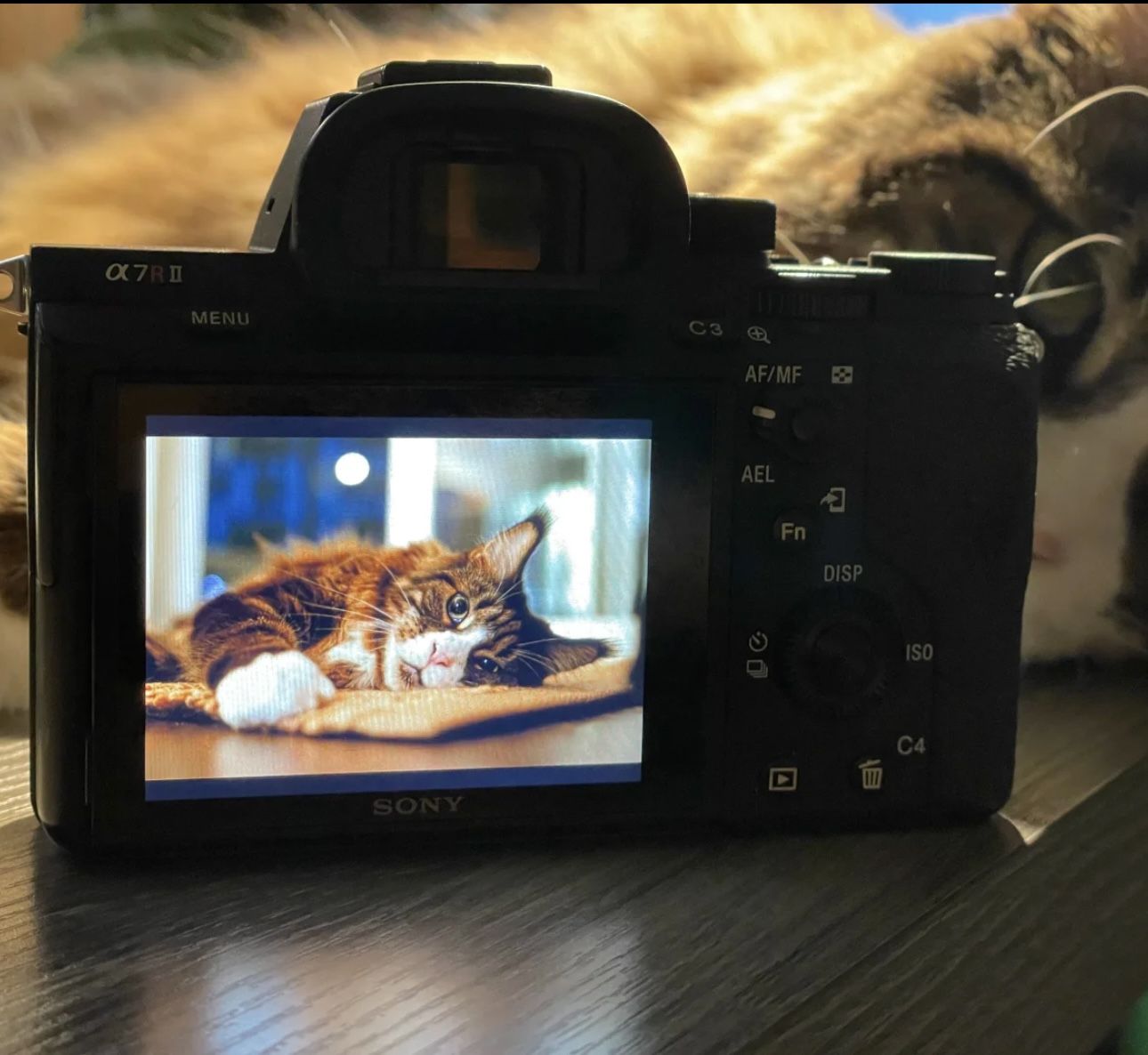 Sony a7r2 Body