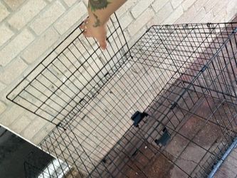 Animals Cage