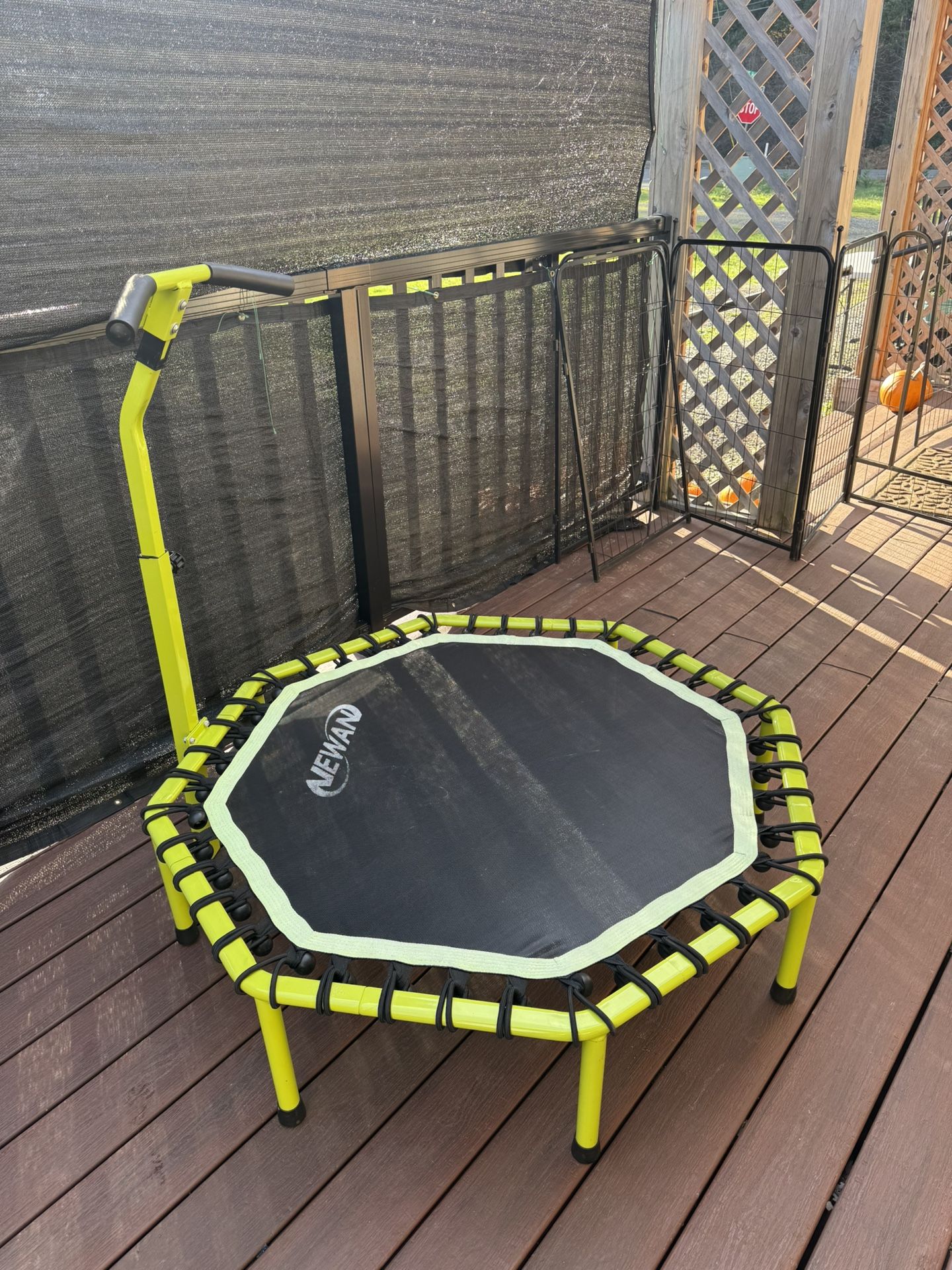 Newman mini trampoline 