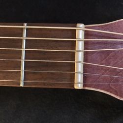 Acoustic Gtr Thick Soft Case