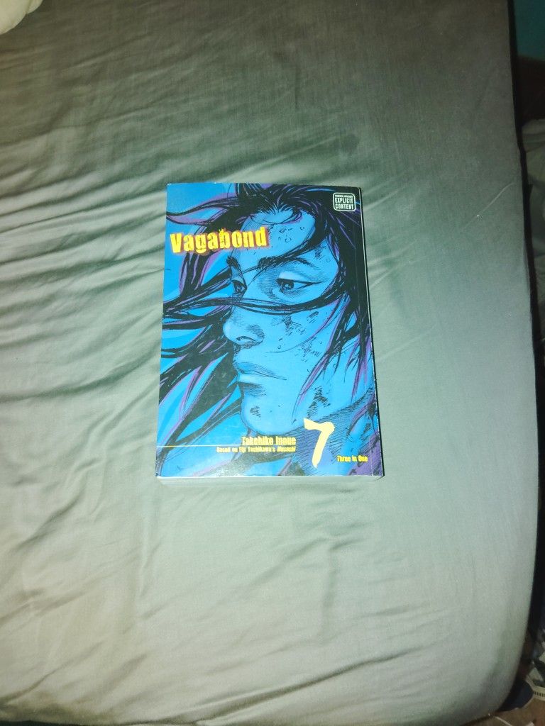 Vagabond v. 7