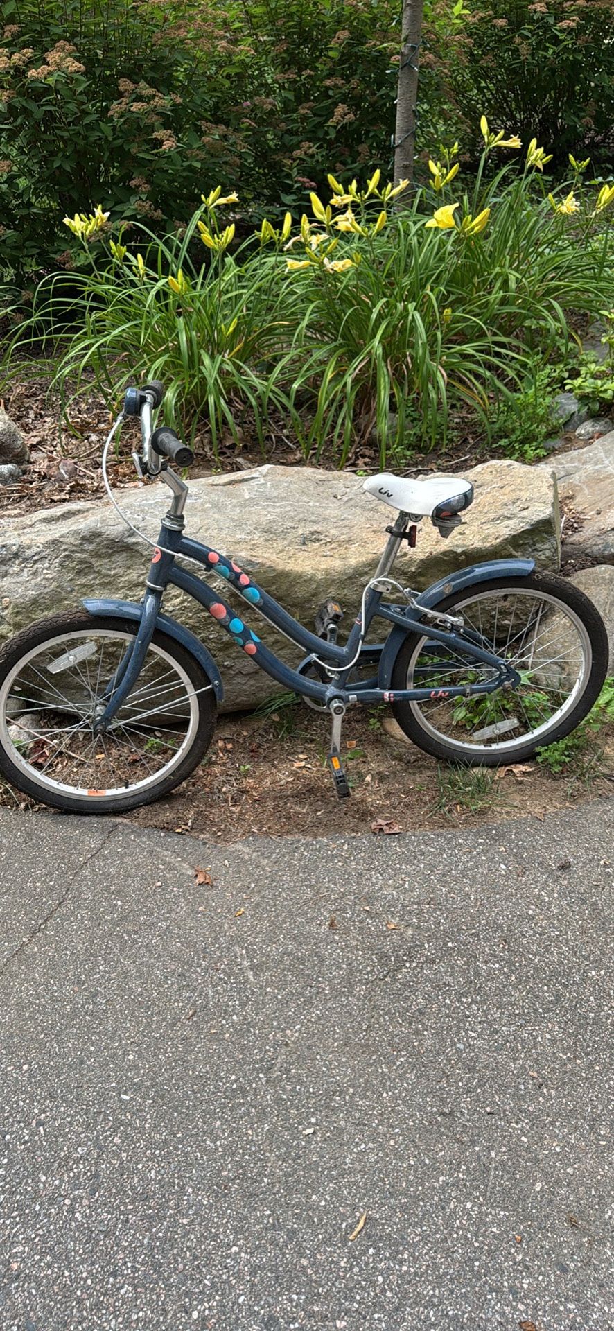 Youth Bike 