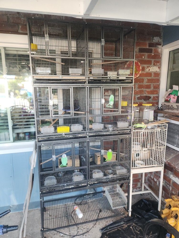 Breeding Bird Cages