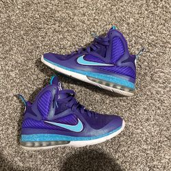 Lebron 9 Summit Hornet Lake Size 8.5