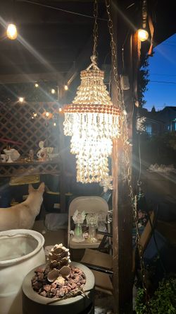 A light chandelier with sea shell