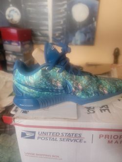 Nike lebrón Xx1