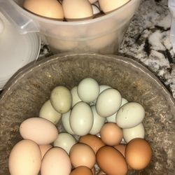 farm huevos/eggs